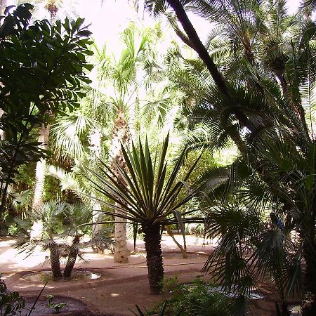Appart Avec Vue Jardin/Majorelle 马拉喀什 外观 照片